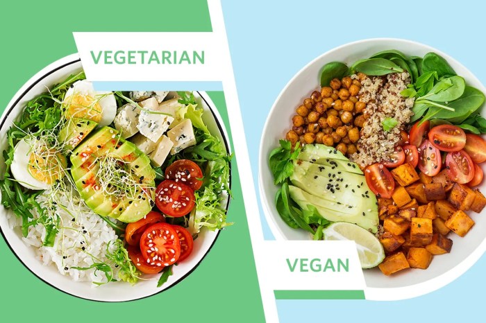 Vegan vs vegetarian diet