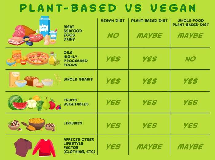 Vegan vs vegetarian diet